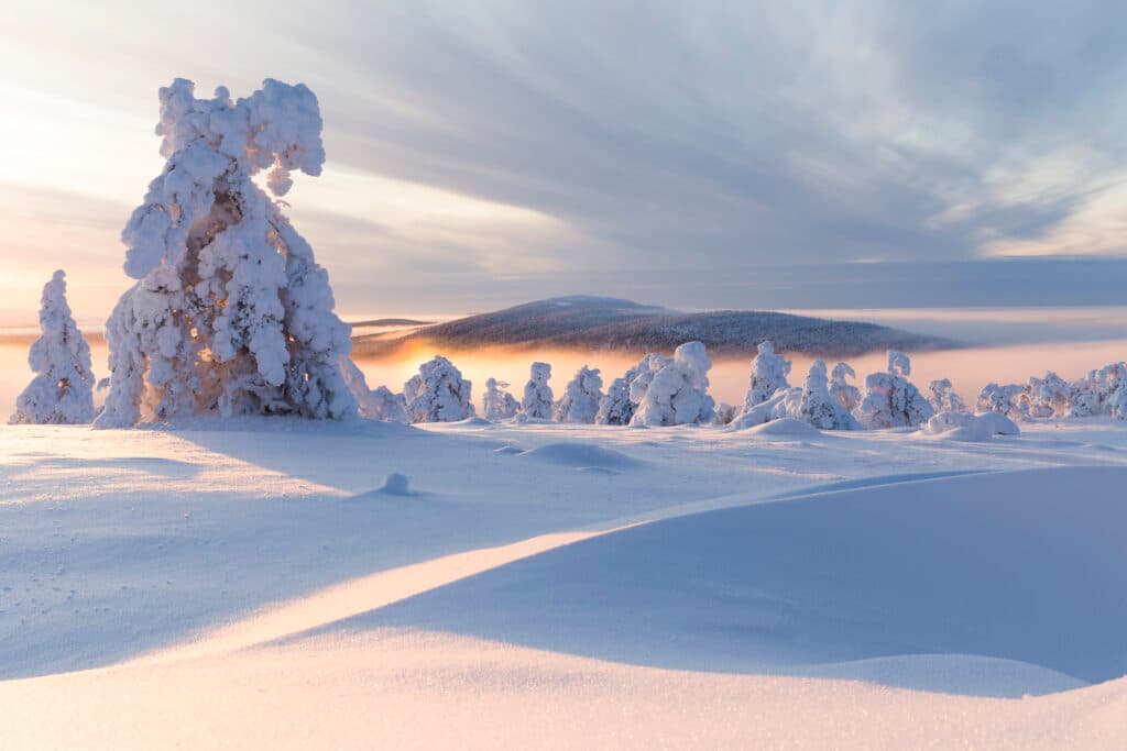 Luminen tunturimaisema